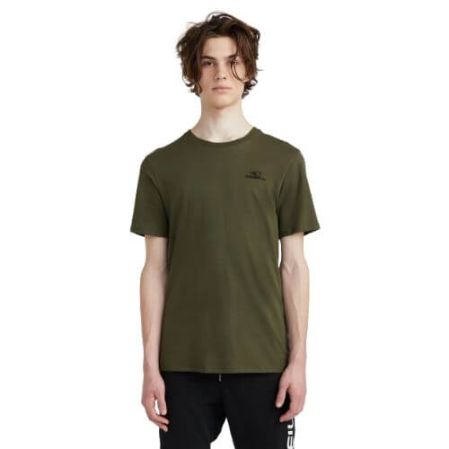 Pánske tričko O'Neill SMALL LOGO T-SHIRT 2850229 Klasické a nadčasové pánske tričko O'Neill. Poskytne Vám pohodlie počas teplých letných dní!